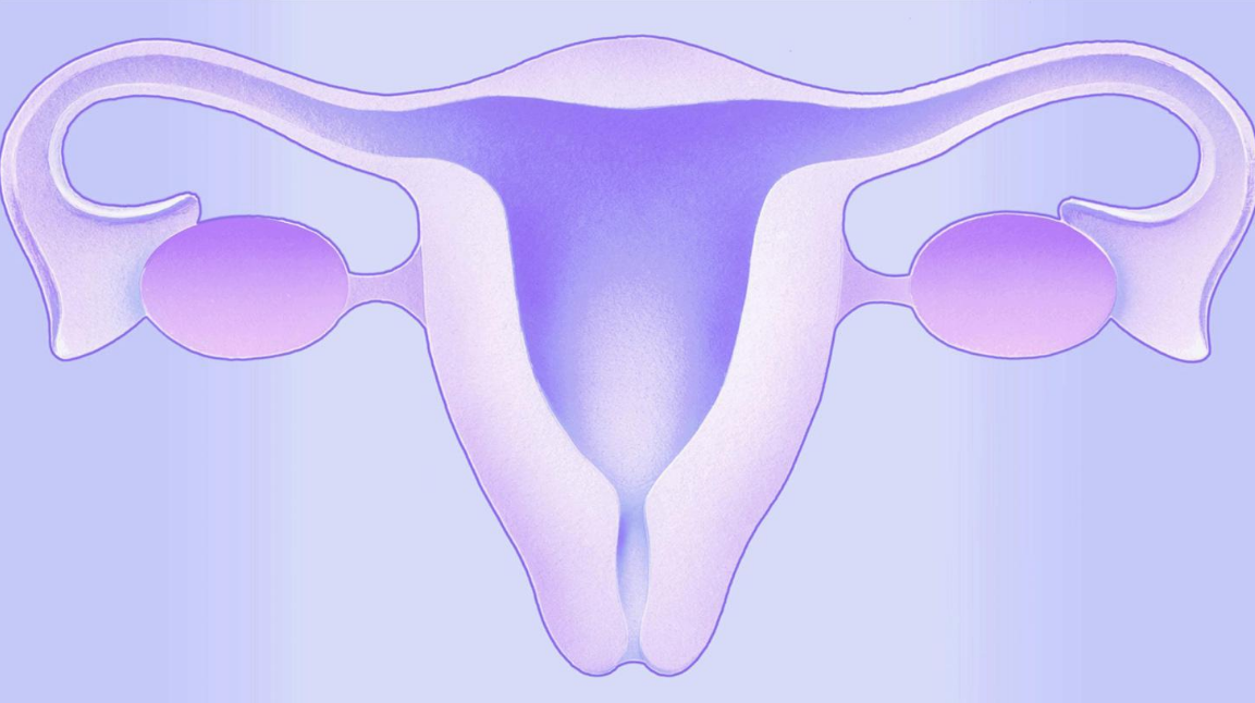 宮外孕切除輸卵管可以做試管嗎 宮外孕切除輸卵管做試管嬰兒成功幾率高嗎