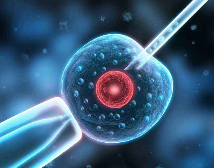 宮外孕切除輸卵管可以做試管嗎 宮外孕切除輸卵管做試管嬰兒成功幾率高嗎