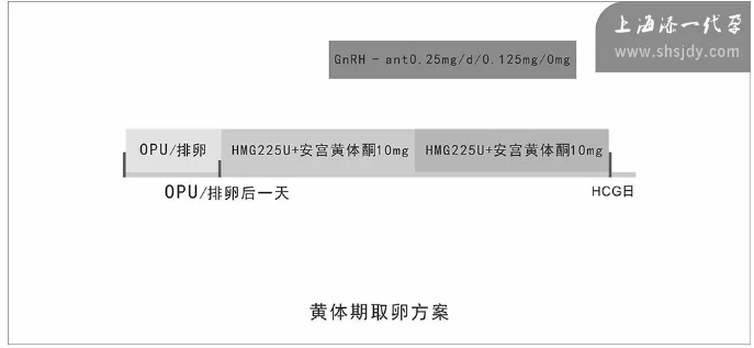 試管嬰兒的成功率怎么計算 怎么知道試管嬰兒的成功率