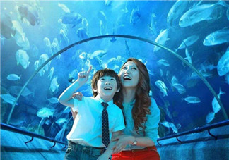 帶孩子去海洋世界的心情說(shuō)說(shuō) 和孩子去海洋館的照片發(fā)文字句子說(shuō)說(shuō)