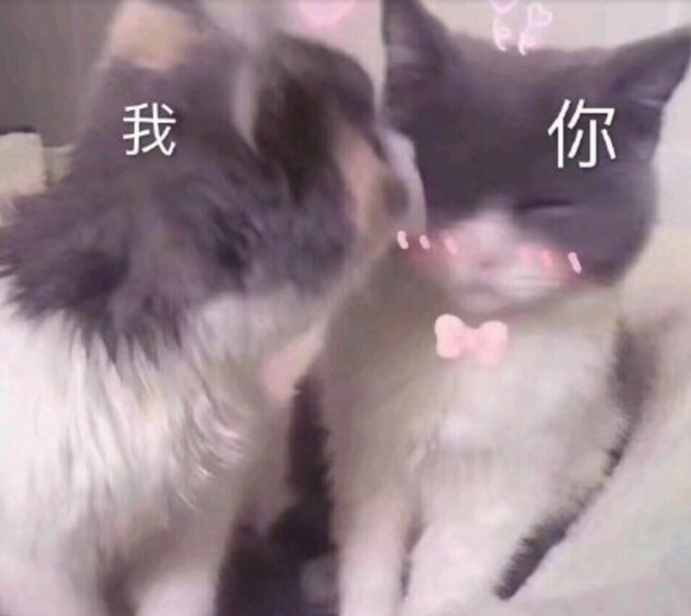 七夕情人節(jié)反狗糧必備搞笑段子表情包 2018七夕反狗糧段子無水印表情包合集 七夕情人節(jié)反狗糧必備搞笑段子表情包 2018七夕反狗糧段子無水印表情包合集