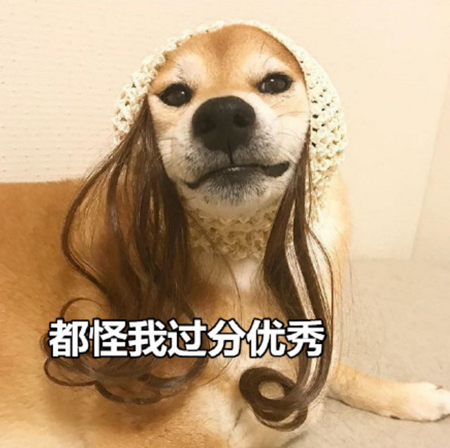  2018七夕單身狗調侃的段子 七夕一個人都怪我過分優秀搞笑的段子說說短語