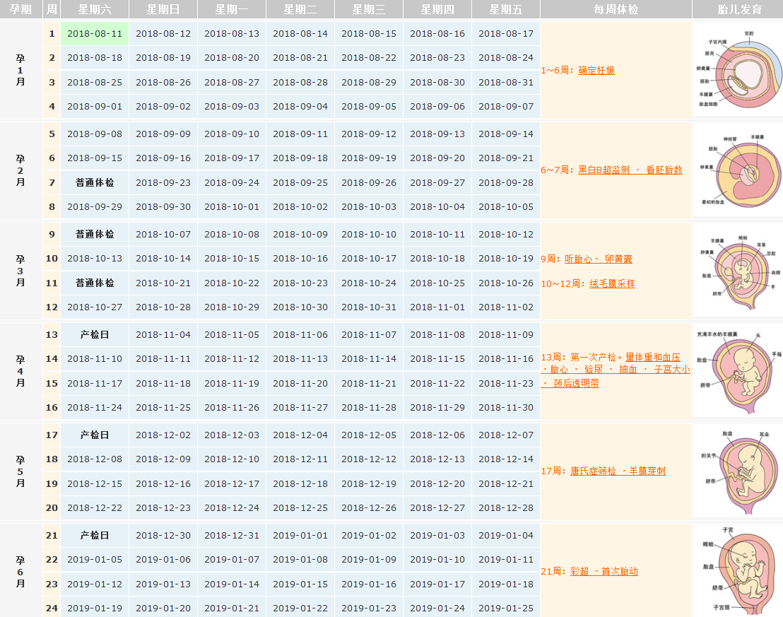 2018末次月經8月11日預產期是什么時候 月經不規律怎么算預產期