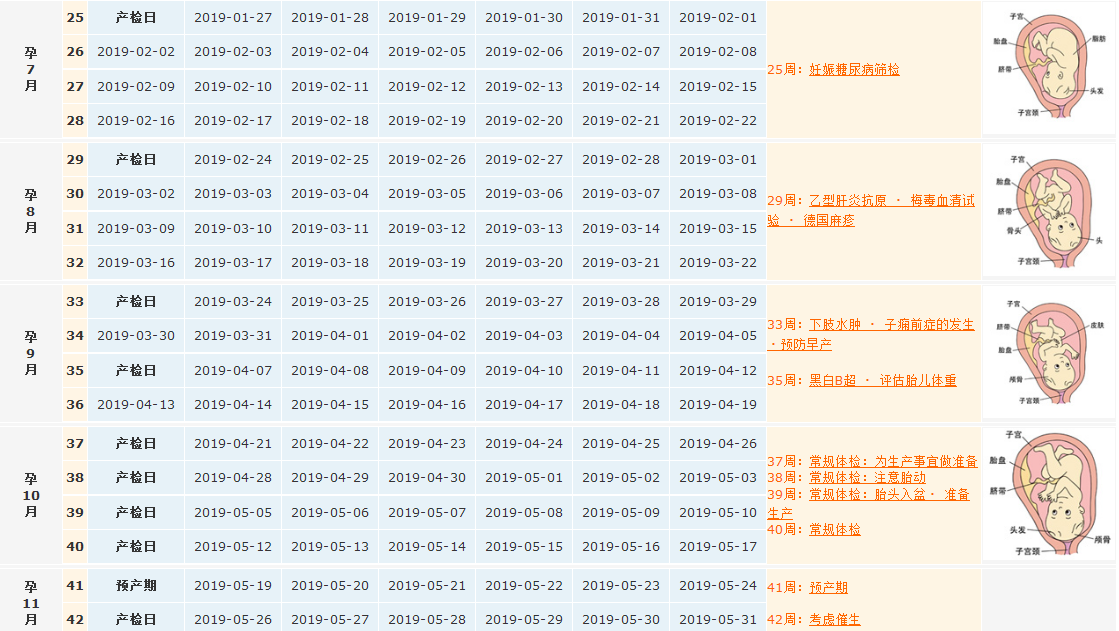 2018末次月經8月11日預產期是什么時候 月經不規律怎么算預產期
