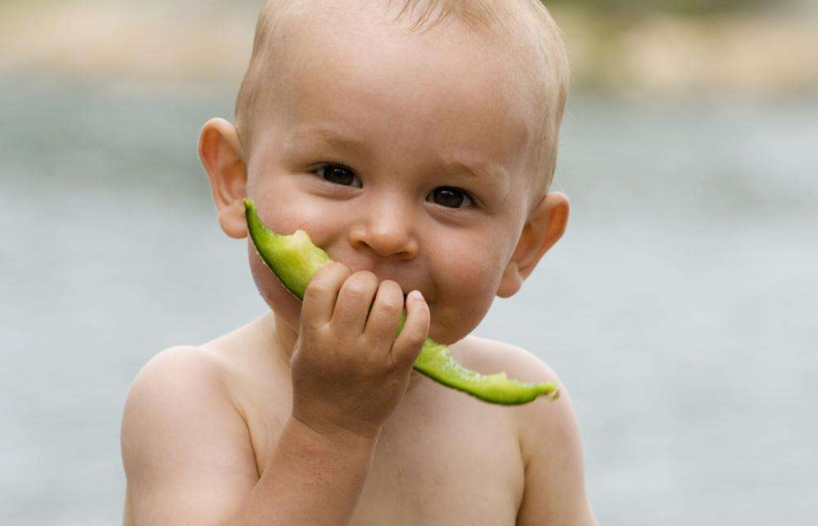 2歲寶寶喜歡打人怎么教育 2歲寶寶愛打人怎么引導