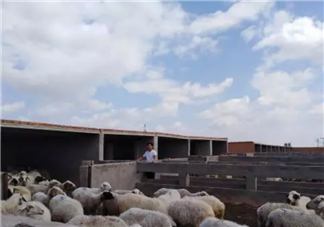 內蒙古感染牛炭疽有多少人 內蒙古疑似牛炭疽疫情怎么回事