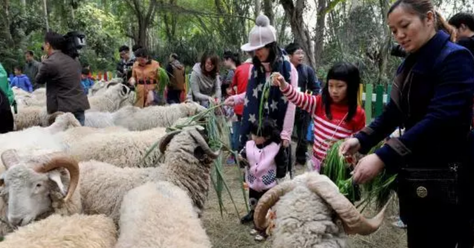 內蒙古感染牛炭疽有多少人 內蒙古疑似牛炭疽疫情怎么回事