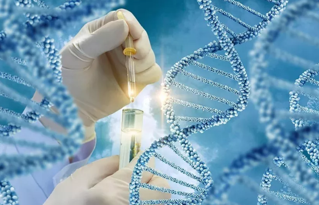 染色體平衡異位可以做試管嬰兒嗎 染色體平衡異位會有哪些疾病