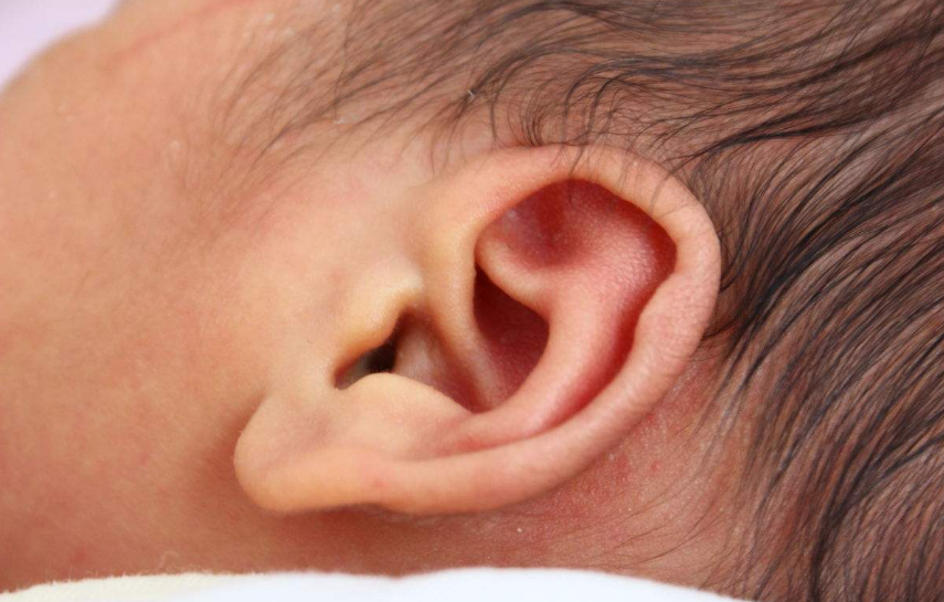 寶寶出生11個月有哪些變化 11個月和寶寶做什么好 寶寶出生11個月有哪些變化 11個月和寶寶做什么好