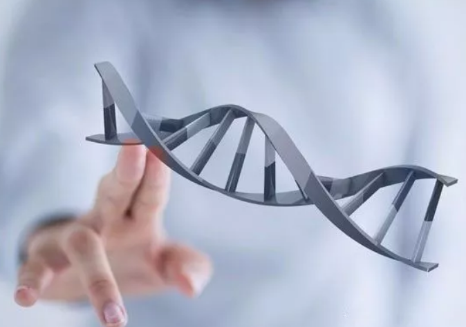 胚胎成功移植一定能懷孕嗎 試管嬰兒成功移植胚胎不懷孕怎么辦