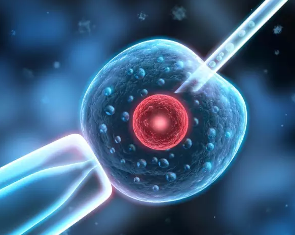 做試管嬰兒內膜薄怎么辦 宮內膜薄的治療怎么做