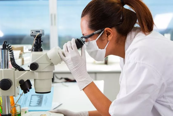 凍胚移植周期會有成熟卵泡嗎 凍胚移植周期會有卵泡會取出來嗎