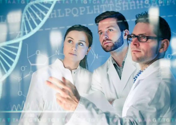 凍胚移植周期會有成熟卵泡嗎 凍胚移植周期會有卵泡會取出來嗎