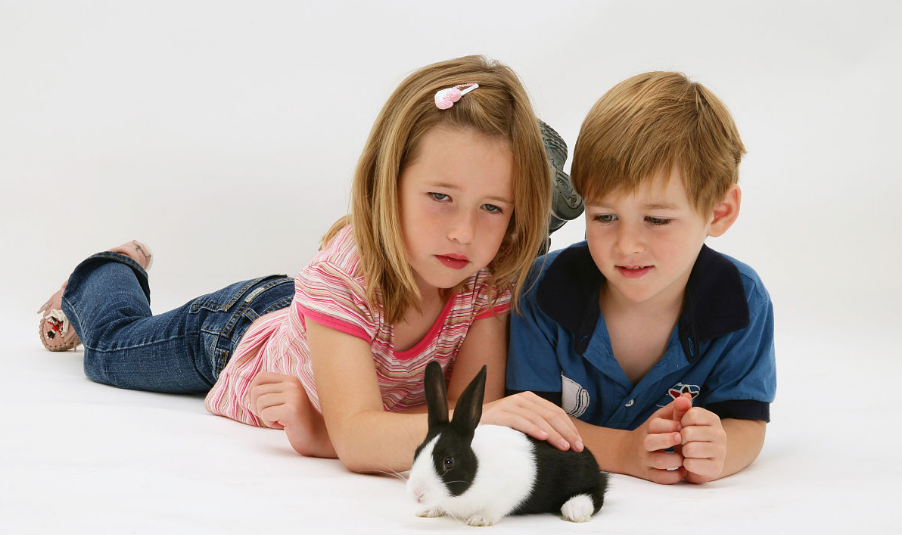 孩子上幼兒園回來說自己餓是什么原因 孩子在幼兒園餓是沒吃飽嗎