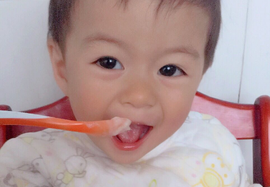 瑞氏麥有機(jī)米粉怎么樣 familia有機(jī)米粉寶寶喜歡吃嗎 瑞氏麥有機(jī)米粉怎么樣 familia有機(jī)米粉寶寶喜歡吃嗎