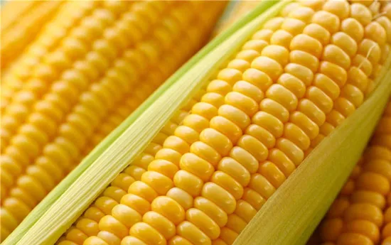 卵巢早衰吃什么可以預防 擔心卵巢早衰吃玉米有用嗎