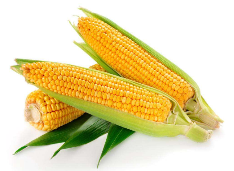 卵巢早衰吃什么可以預防 擔心卵巢早衰吃玉米有用嗎