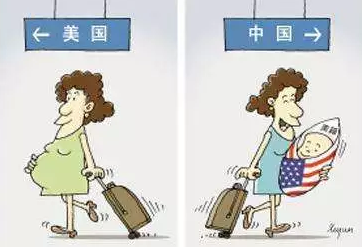 海外生子為什么被遣返 海外生子被遣返怎么辦