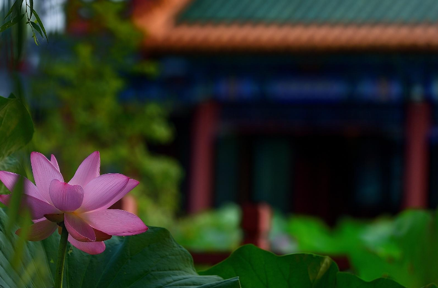 夏天過去說說 夏天過去說說朋友圈