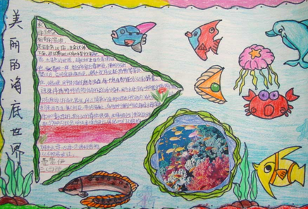 海洋世界主題手抄報 海底世界主題手抄報圖片2018