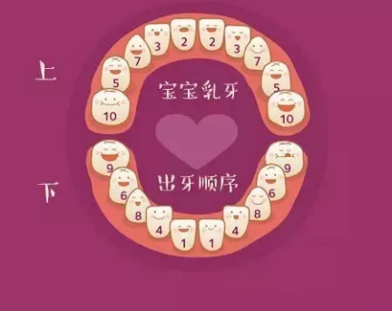 孩子出牙晚正常嗎 孩子長牙齒的順序是什么2018 孩子出牙晚正常嗎 孩子長牙齒的順序是什么2018
