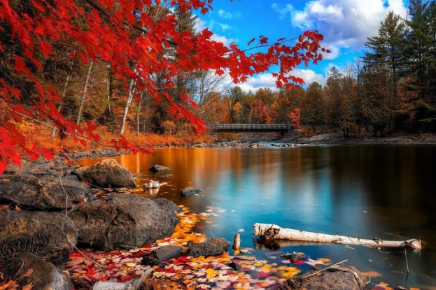 處暑心情早安語錄 處暑發(fā)什么說說