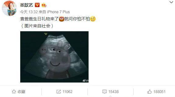 張歆藝宣布懷孕消息 胡歌又被催婚