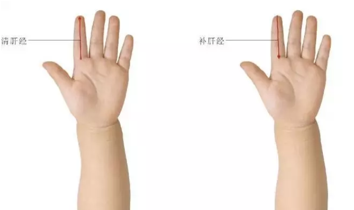 寶寶肝經正確手法圖 小兒補肝經的推拿手法