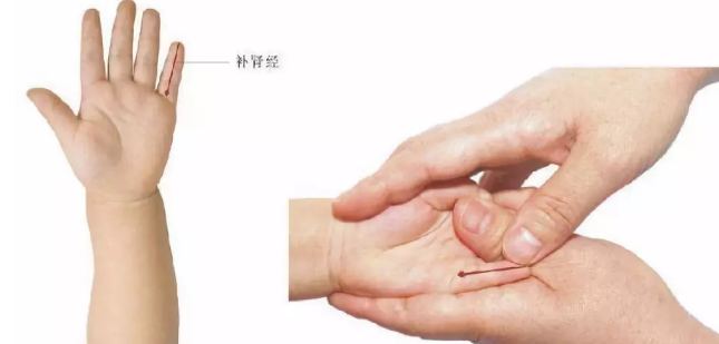寶寶腎經正確手法圖 小兒補腎經方向的推拿手法