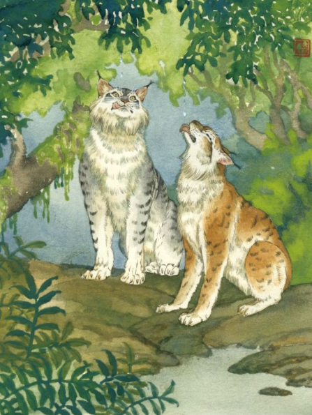 給寶寶的睡前小故事 寶寶睡前故事2018