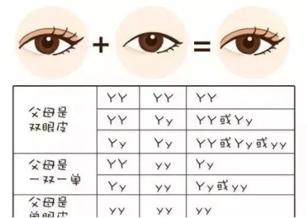 小七短發(fā)撞臉媽媽 孩子是更像父親還是更像母親