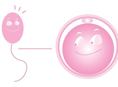 如何改善精子質(zhì)量 吃什么可以改善精子質(zhì)量