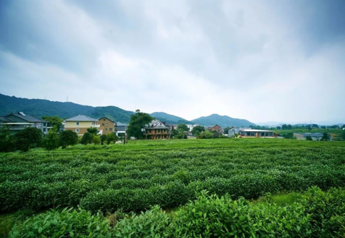 秋季適合帶孩子去哪玩 秋季親子游旅行攻略2018