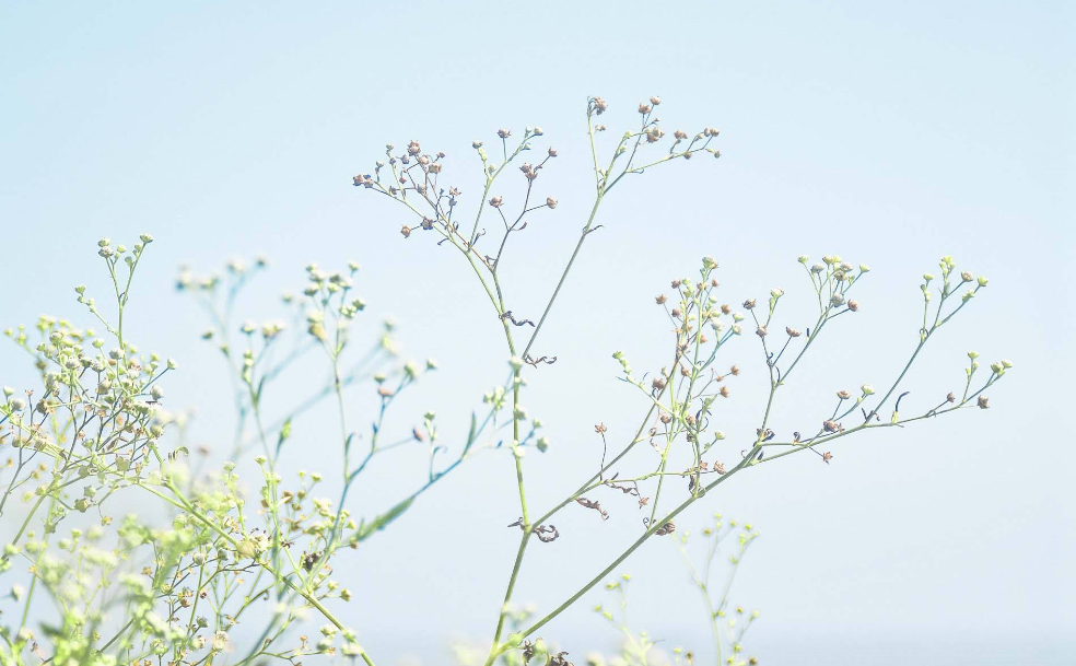 明天開學說說 明天開學發什么說說朋友圈好