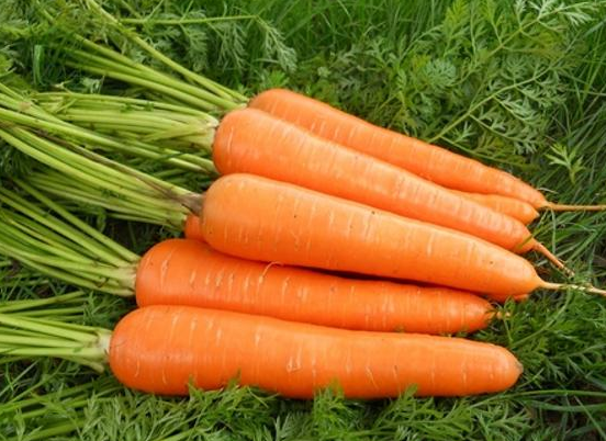 秋季減肥的好處 秋季減肥應該吃什么2018