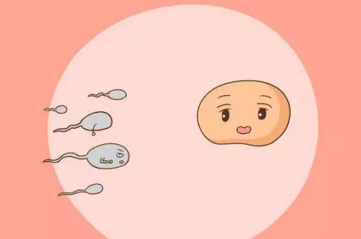 2018年8月30號行房受孕生男生女 8月30號行房生女孩真的嗎