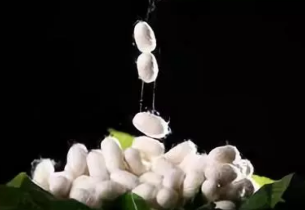 真絲和桑蠶絲哪個貴 真絲和桑蠶絲區別是什么 真絲和桑蠶絲哪個貴 真絲和桑蠶絲區別是什么