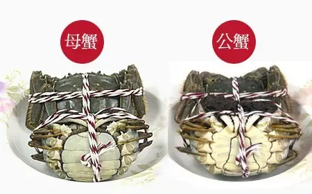 怎么吃螃蟹圖解 大閘蟹的正確吃法2018