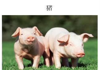 孩子先學漢字還是拼音好 孩子學認字從哪里入手