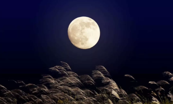 白露相關的古詩詞 白露節氣詩詞賞析