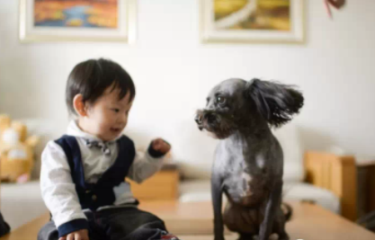 如何為寶寶挑選合適的米粉 選購(gòu)米粉的注意事項(xiàng)