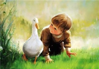 寶寶們眼中的世界是什么樣的 寶寶們是如何感知世界的