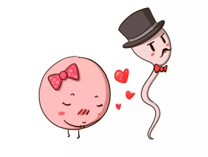 2018年9月16號行房受孕生男生女 9月16號行房生男孩還是女孩