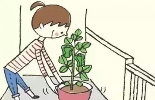 小學(xué)臺(tái)風(fēng)山竹作文500字 看到臺(tái)風(fēng)山竹有感2018