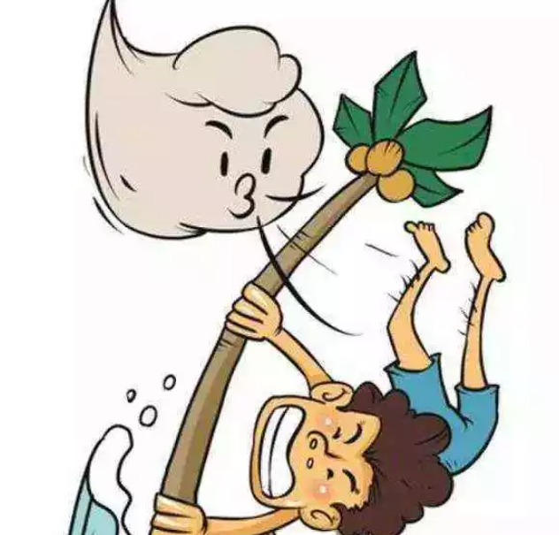 有關(guān)臺風(fēng)山竹的作文2018 描寫臺風(fēng)山竹的句子100字