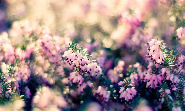 描寫夏末初秋的句子 夏末初秋發什么說說朋友圈 描寫夏末初秋的句子 夏末初秋發什么說說朋友圈