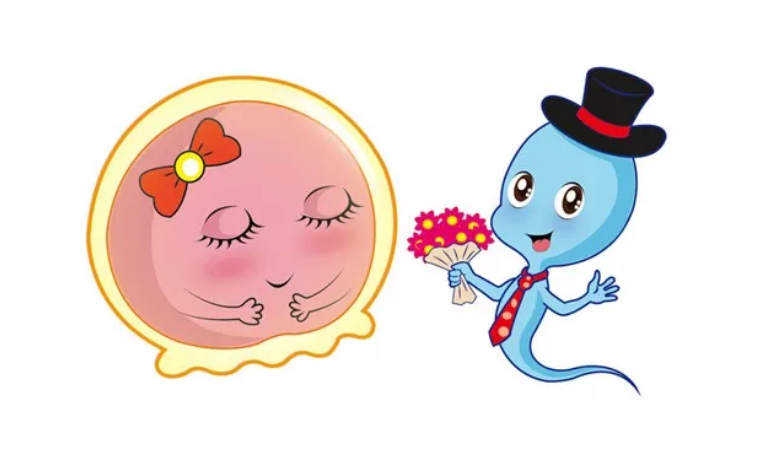 2018年9月20號行房受孕生男生女 農歷八月十一懷孕生男孩還是女孩