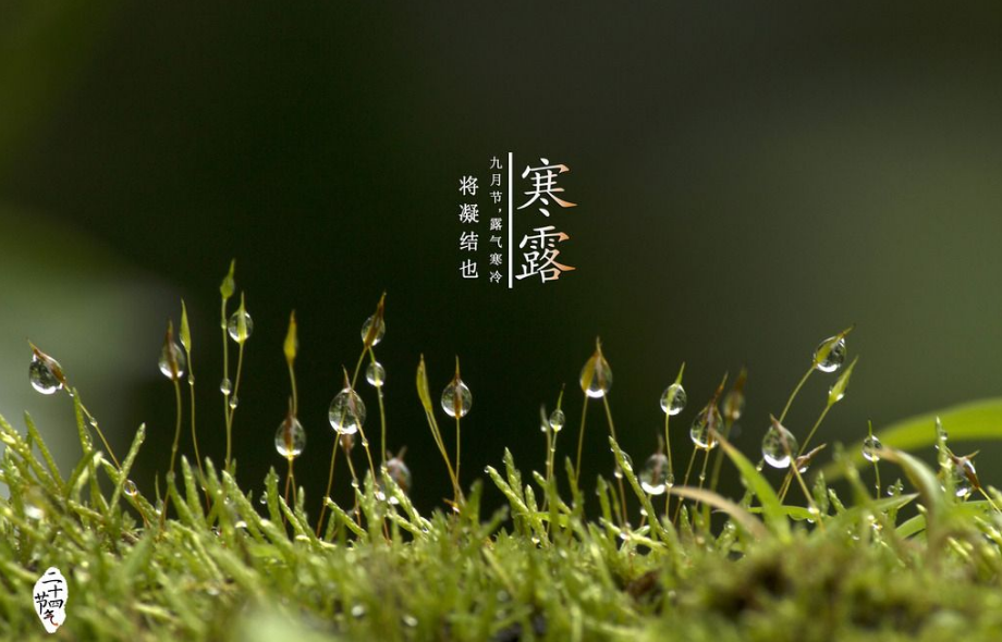 今日寒露說說 2018今天寒露說說朋友圈