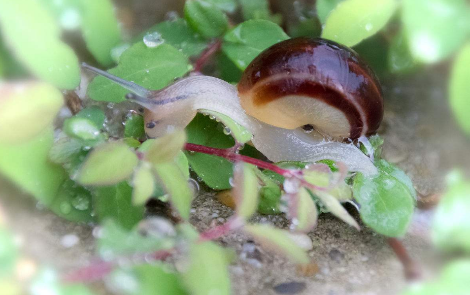 一個人天氣變冷的說說 一個人關于天氣變化說說朋友圈 一個人天氣變冷的說說 一個人關于天氣變化說說朋友圈
