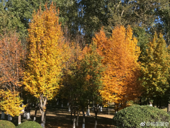 周末陪孩子玩的說說 陪孩子在家過周末說說朋友圈
